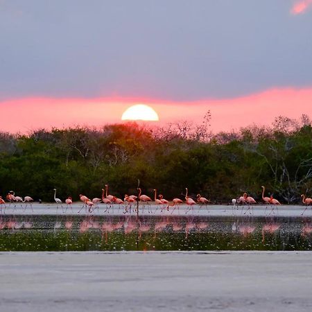 Playa 55 Beach Escape - Adults Only Guesthouse Celestun Bagian luar foto